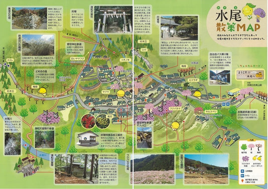 京都水尾散策