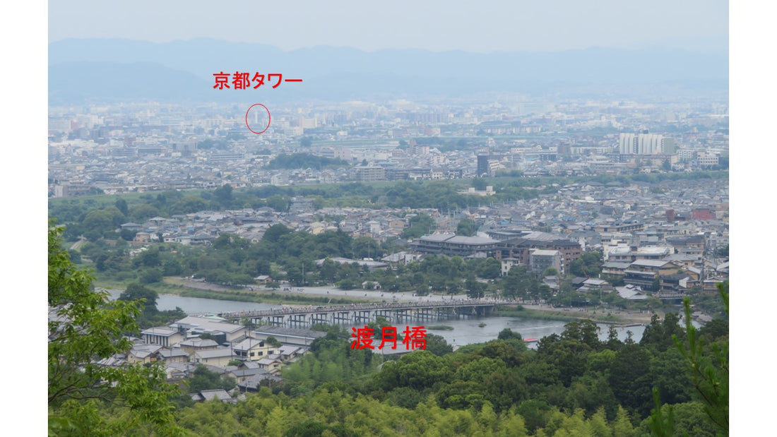 小倉山を少し登った付近から市内を眺める