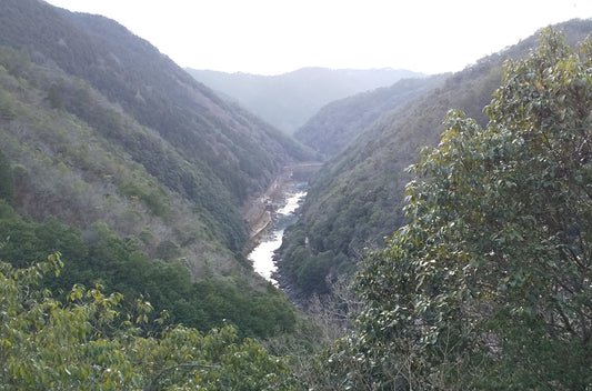 嵐山の西に広がる絶景とトロッコ保津峡駅の魅力