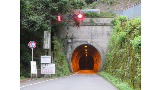 嵐山滞在時間+1時間