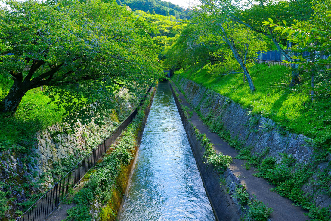 京都めぐり ― びわ湖疎水船（昨年夏の記録）