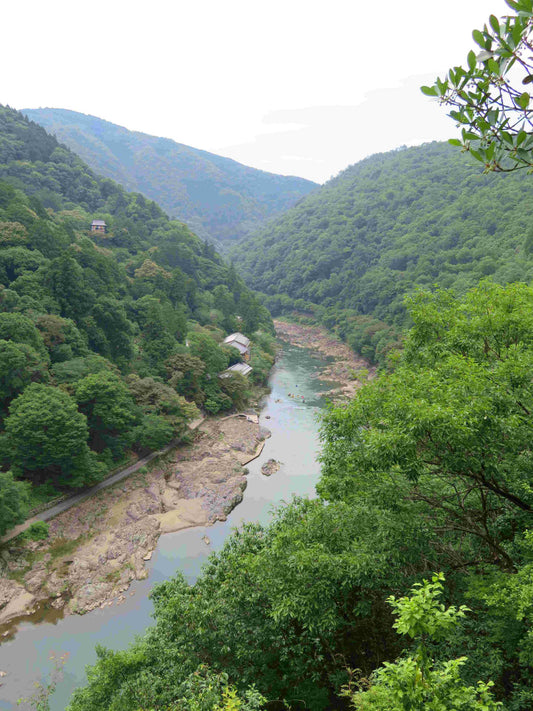 deep in the heart of Mt. Arashiyama