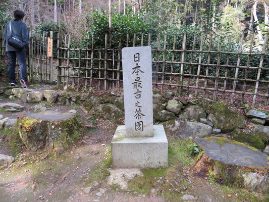 お茶味の新商品にむけて「宇治茶探訪」①　高山寺